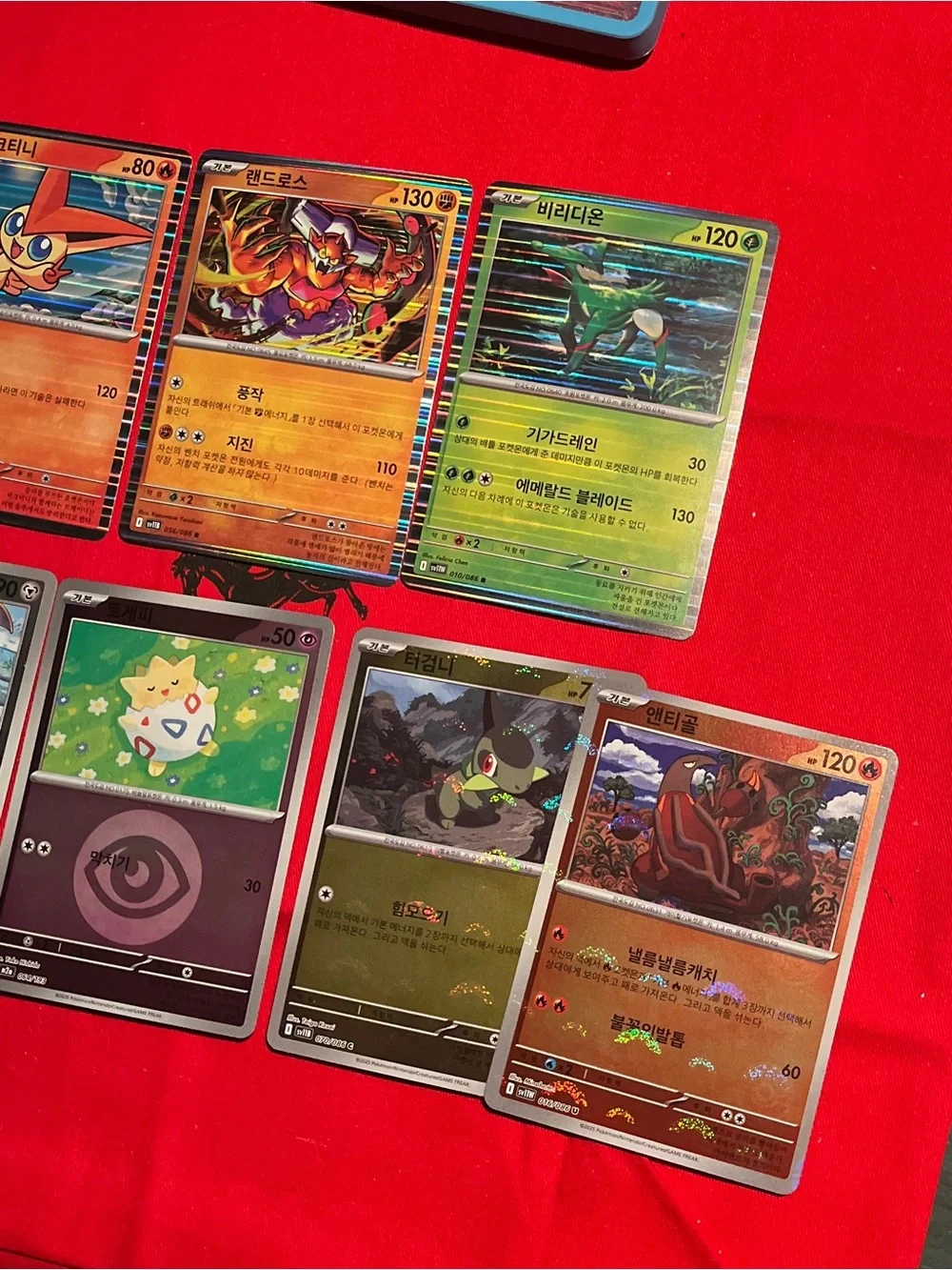 Pokemon Trading Card Lot with Red, Orange, Green, Black and Gold Holo Cards
